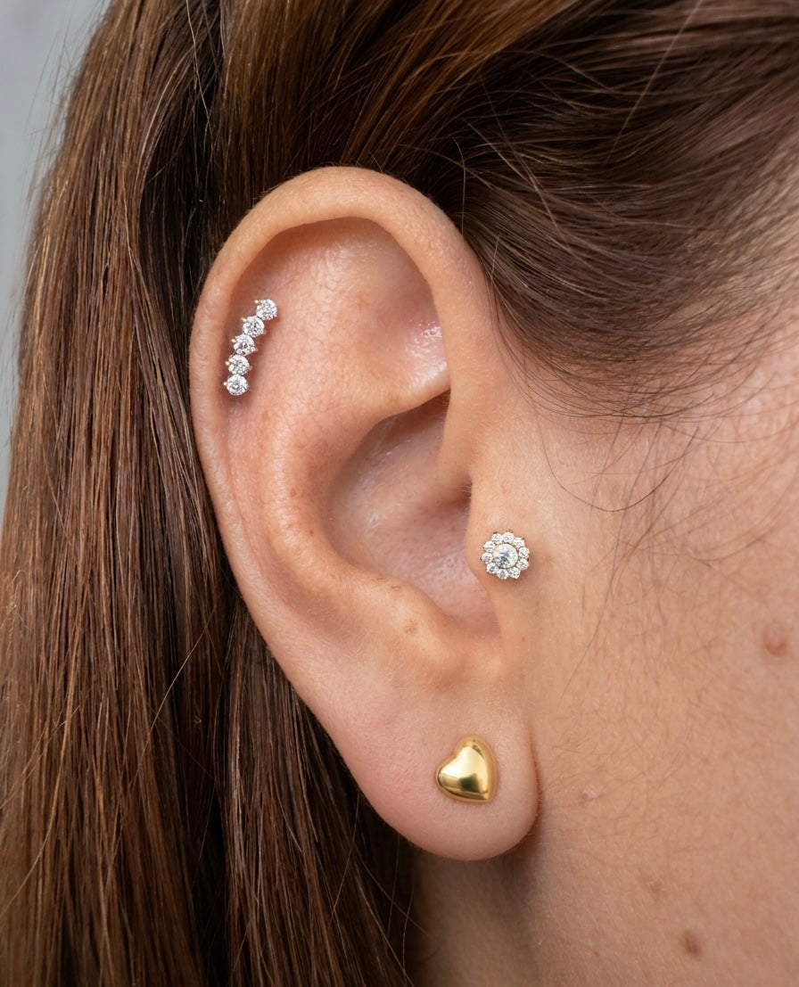 LABRET ARIANA ACERO