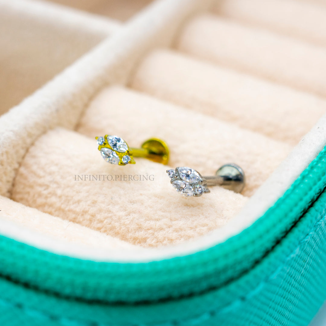 LABRET PETRA TITANIO