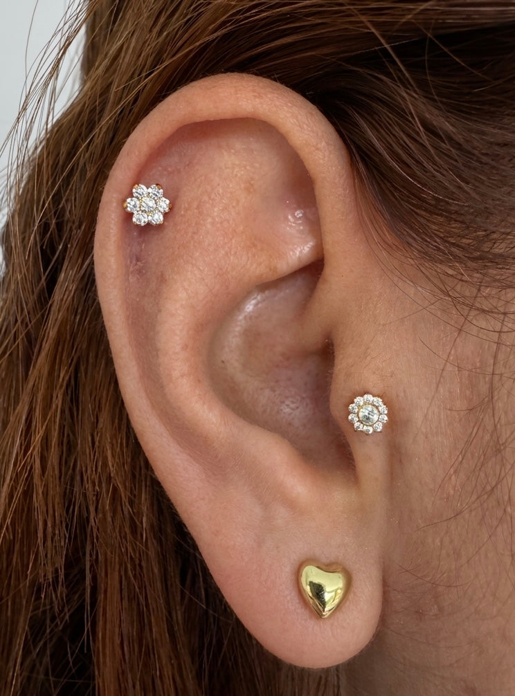 LABRET BRITANY ACERO