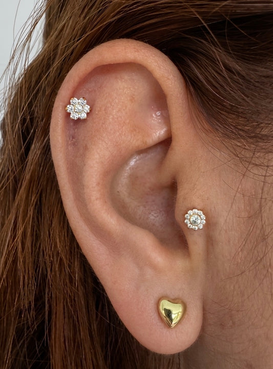 LABRET BRITANY ACERO