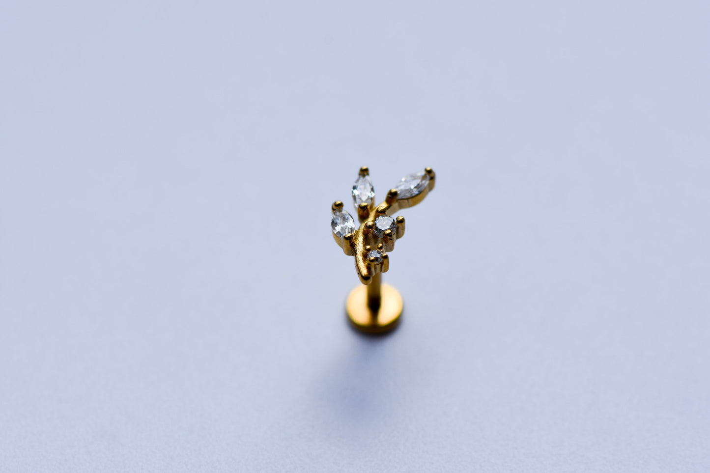 LABRET ARIANA ACERO