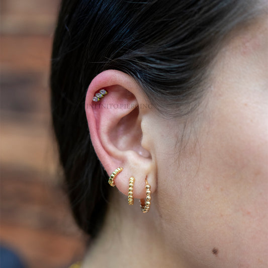 LABRET MEISSA