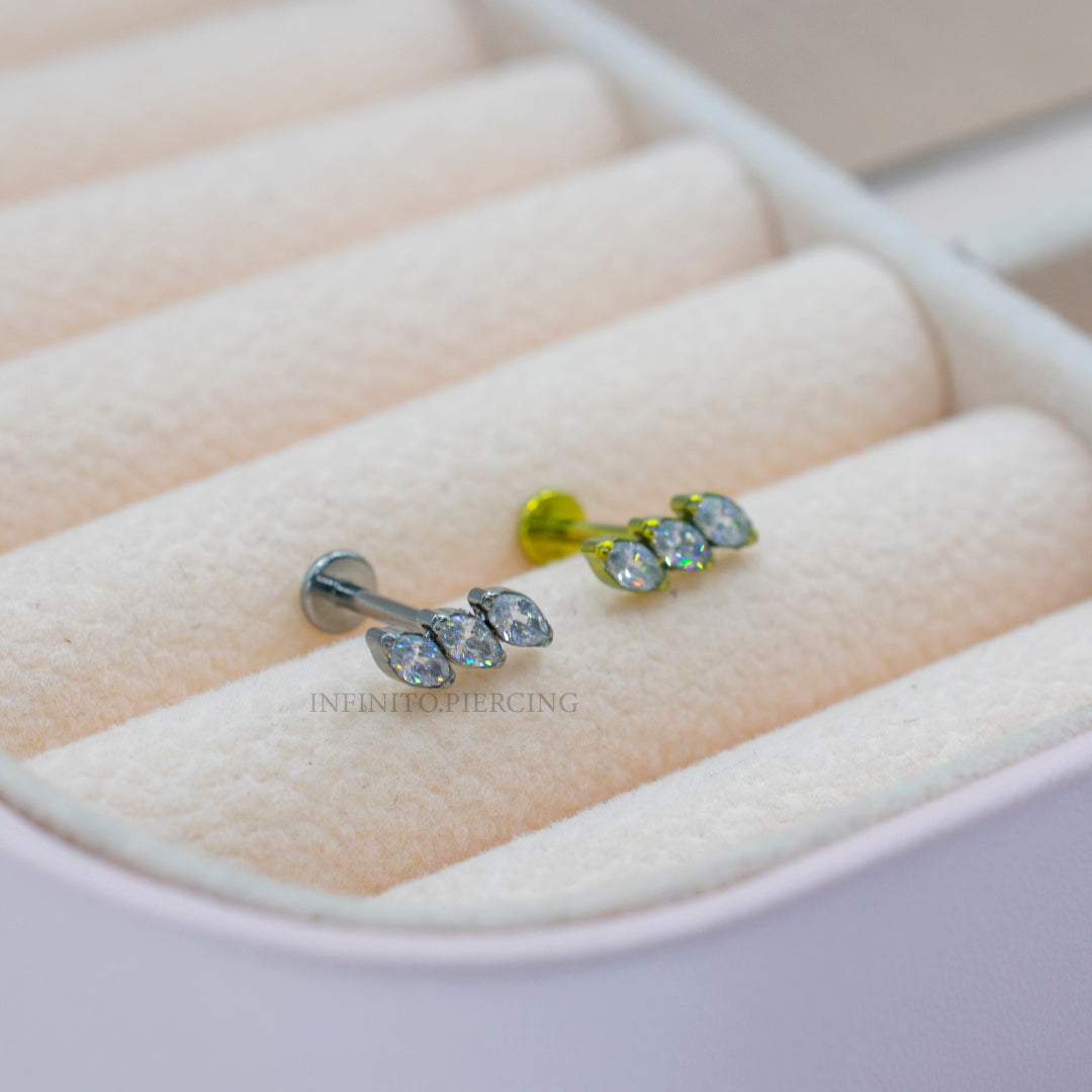 LABRET MEISSA