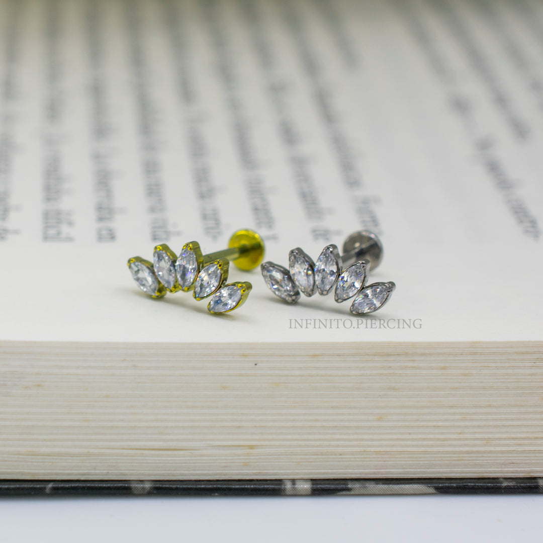 LABRET CLUSTER AMALTEA TITANIO