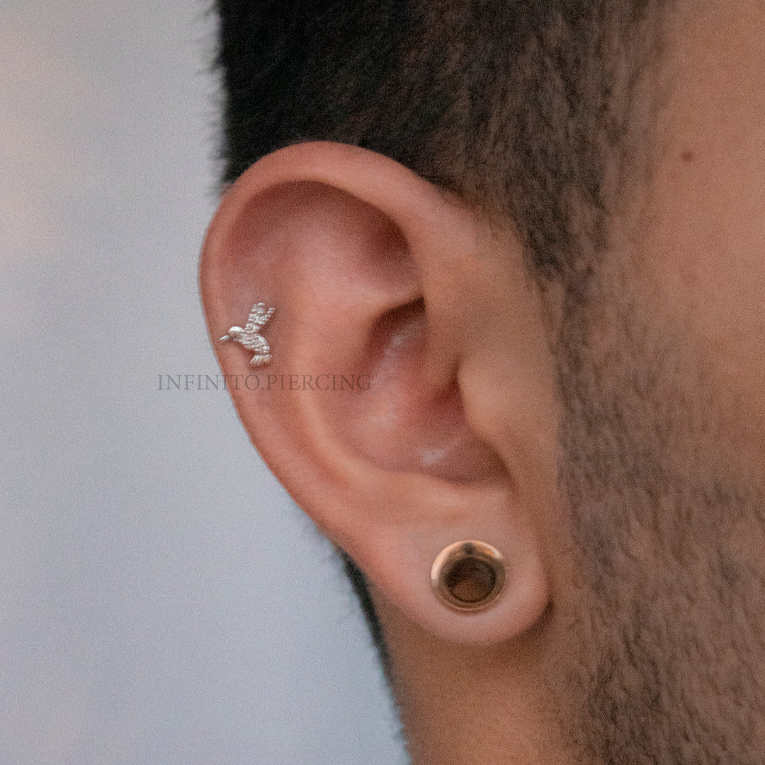 LABRET COLIBRÍ ACERO