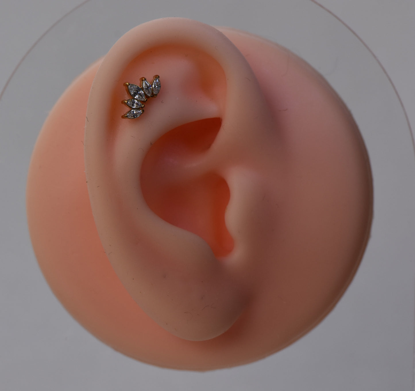 LABRET CORONA ACERO