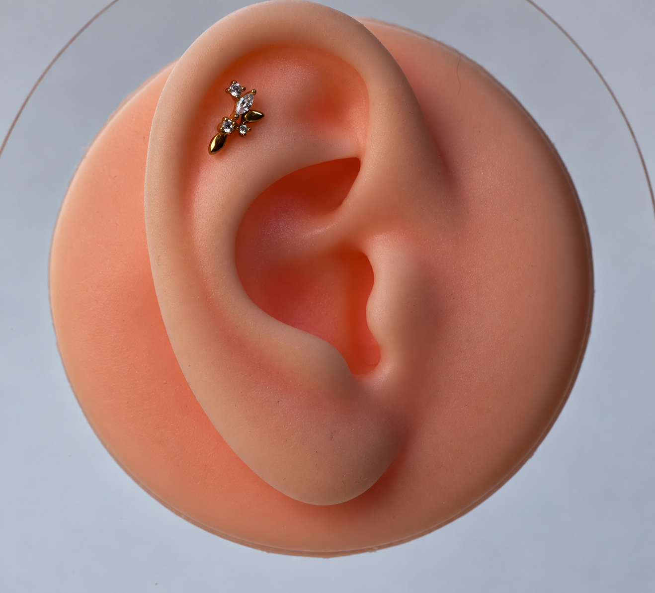 LABRET ENREDADERA ACERO