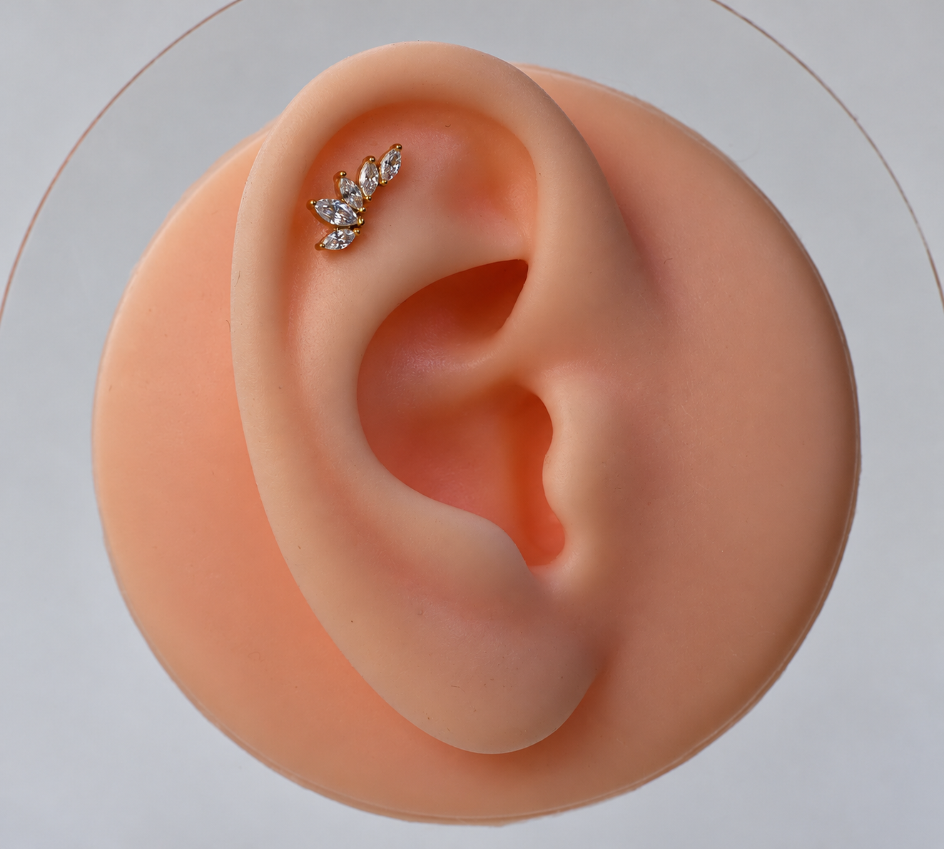 LABRET LAUREL ACERO
